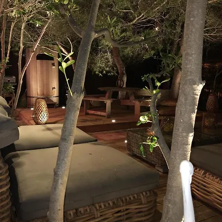 Tatil Evi L'instant - La Capte Hyères